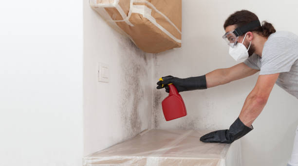 Professional Hvac And Air Duct Mold Remediation technician working in Onekama, MI